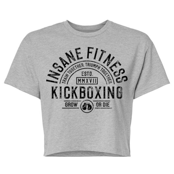 INSANE FITNESS - VINTAGE ARCH - $H9Y36B$ Thumbnail